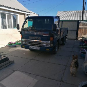 Грузоперевозки