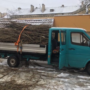 Вывоз мусора. Грузоперевозки