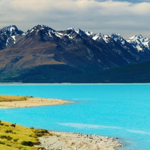 Прием картона плёнки