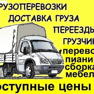 Грузоперевозки