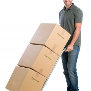 Выполним работу ЗА ВАС