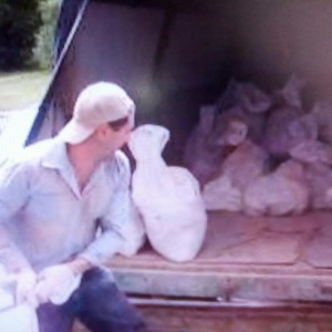 Услуги грузчиков, перевозки