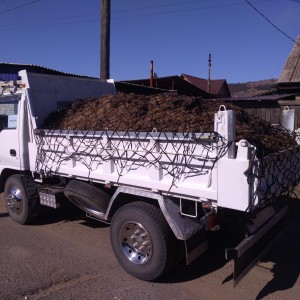 Грузоперевозки