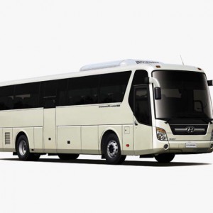 Перевозка пассажиров. Грузоперевозки