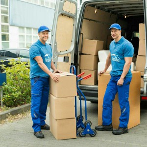 Услуги грузчиков, разнорабочих и грузоперевозки