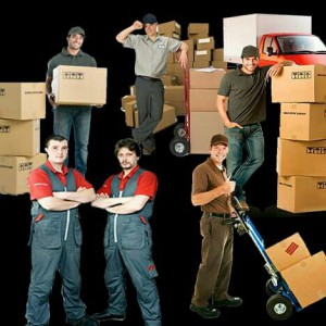 Грузоперевозки, разнорабочие
