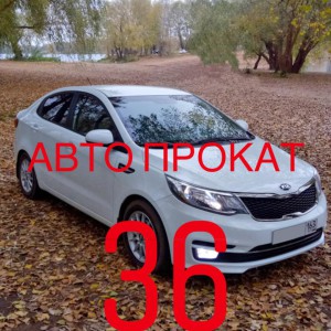 Авто в Аренду