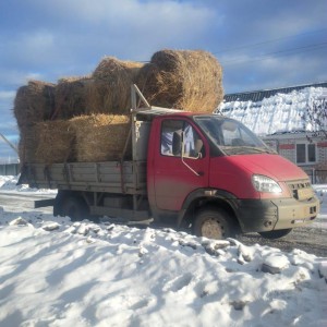 Доставка грузов до 6м