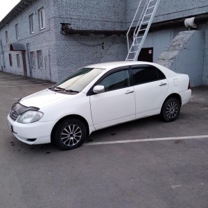 Сдам в аренду