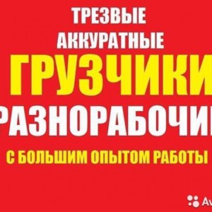 Грузчики. Грузоперевозки. Вывоз Мусора