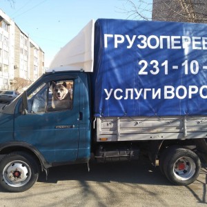 Грузоперевозки