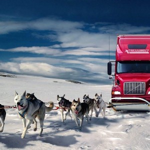 Бригада грузчиков в Архангельске