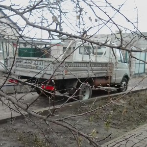 Грузоперевозки