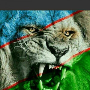 Грузчики + Грузоперевозки