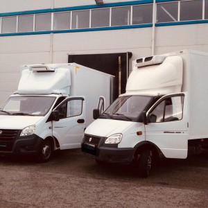 Грузоперевозки