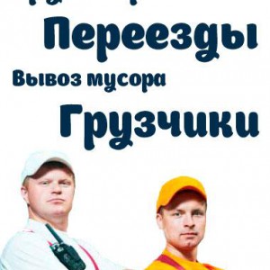 Грузчики 24/7