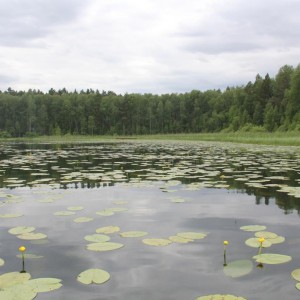 Пассажирские перевозки. Выезд в Муромцевский район