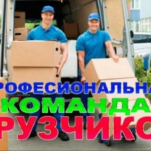 Грузчики / переезды