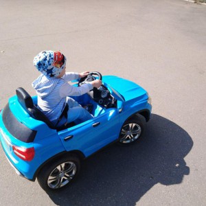 Грузоперевозки. Газель