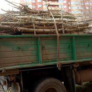 Грузоперевозки грузчики