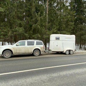 Коневоз, перевозка лошадей