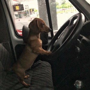 Грузоперевозки, грузчики