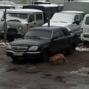 Малогабаритный груз. Перевозки
