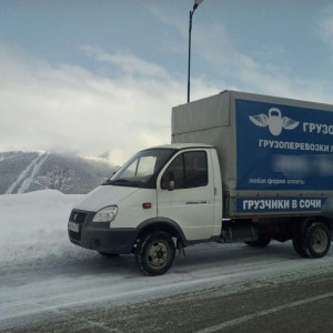 Грузоперевозки