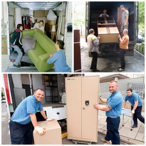 Вывоз мусора, перевозки, переезды, грузчики