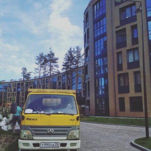 Вывоз строительного мусора