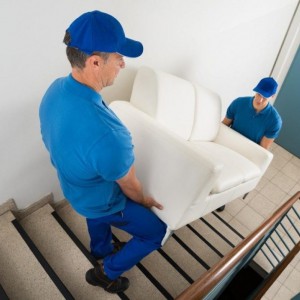 Грузчики. Уборка Снега. Грузоперевозки