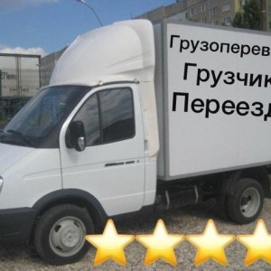 Грузоперевозки