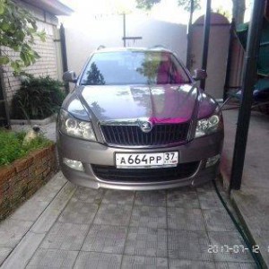 Трезвый водитель