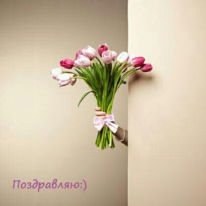 Перевозки. грузчики