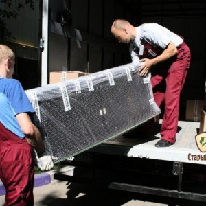 Профессиональные грузчики